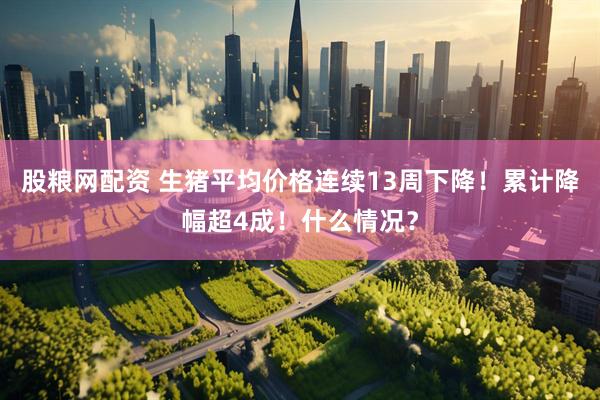 股粮网配资 生猪平均价格连续13周下降！累计降幅超4成！什么情况？