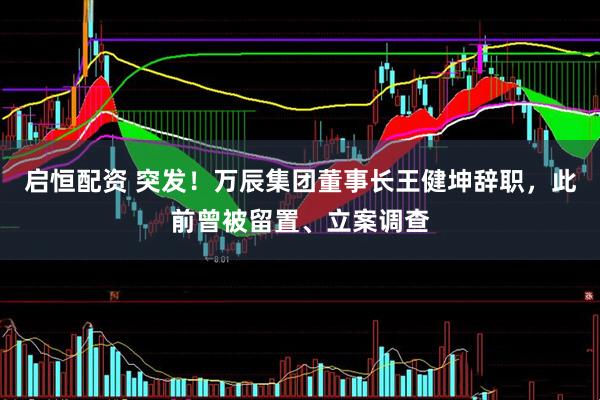 启恒配资 突发！万辰集团董事长王健坤辞职，此前曾被留置、立案调查