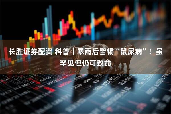 长胜证券配资 科普｜暴雨后警惕“鼠尿病”！虽罕见但仍可致命