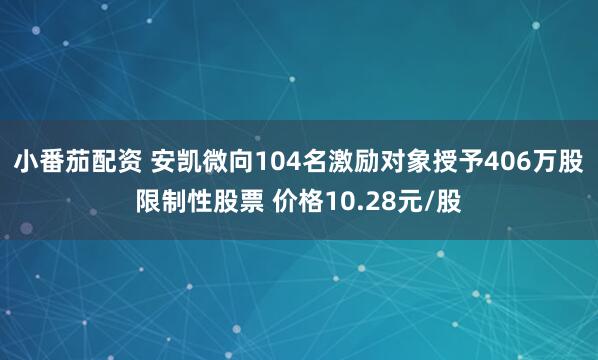 小番茄配资 安凯微向104名激励对象授予406万股限制性股票 价格10.28元/股