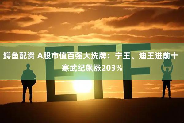 鳄鱼配资 A股市值百强大洗牌：宁王、迪王进前十 寒武纪飙涨203%
