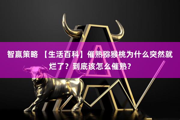 智赢策略 【生活百科】催熟猕猴桃为什么突然就烂了？到底该怎么催熟？